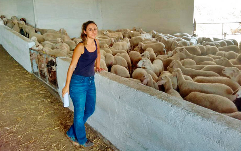 starting-a-new-life-as-a-sheep-farmer-in-greece-greece-is