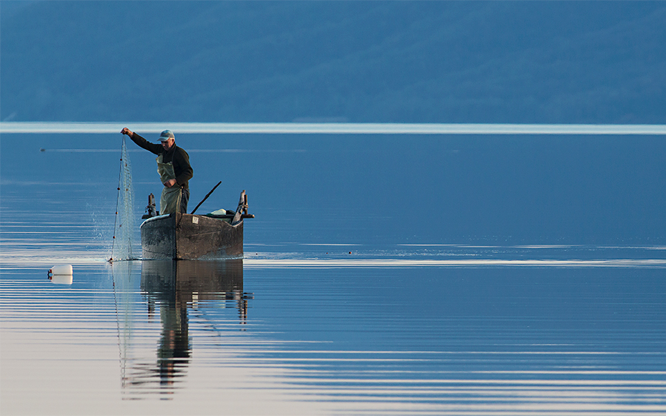 Fauna Photographer 02 - Greece Is